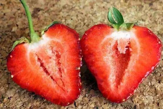 凹凸草莓视频,跟随凹凸草莓探索奇妙旅程