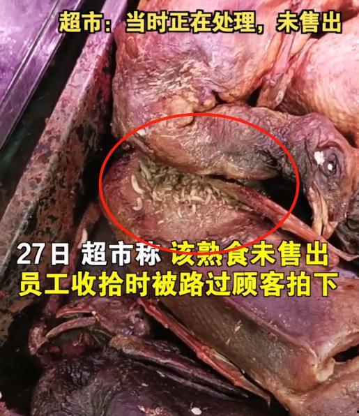 人身上长满蛆虫视频,人体蛆虫滋生背后的惊人真相