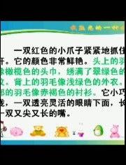 画角微课视频,轻松掌握几何画角技巧